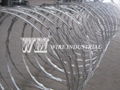 Concertina Razor Wire 1