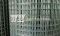 Welded Wire Mesh 1