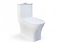Customized toilet 1