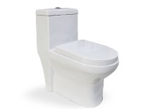 Customized toilet