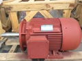 YE2-112M-2 ac motor 4kw/5.5hp 2poles