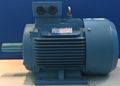 YE3 three phase 380V IP55 30KW induction motor