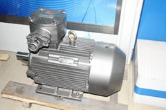 YBE2 explosion-proof three-phase asynchronous AC motor for Cnc Machine