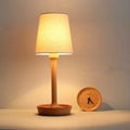 GEILING LAMP 5