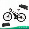 dolphin ebike battery 36v 20.4ah lithium