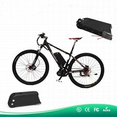 dolphin ebike battery 36v 20.4ah lithium electric bicycle battery with USB Port
