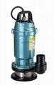 Electric irrigation submersible water