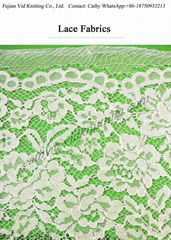 Polyester Lace Fabric for Lady Garments