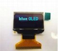 Custom OLED  display