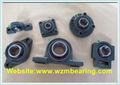 Pillow Block Bearing