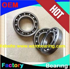 Deep Groove Bearing