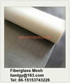 Alkali Resistant Fiberglass Mesh  3