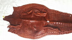 Crocodile Leather