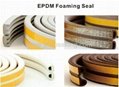 EPDM Foaming Seal 3