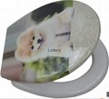 Two Pieces Sanitary Ware Printed Toilet Seat