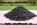 coconut activated carbon 1