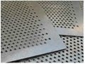 Perforated Screen for Windows and Doors 4