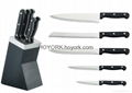 6 piece stainless steel  kitchen knife block set