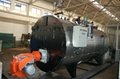 Top Performing Boiler Supplier  Completed Industrial Gas Steam Genera 3