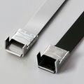 WING SEAL TYPE STAINLESS STEEL TIES