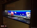 Digital UV Printing Splashbacks Glass Products