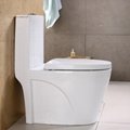 High quality siphonic / washdown s-trap one piece toilet  4