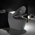 Automative toilet intelligent water closet 2