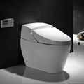 Automative toilet intelligent water