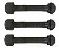 Black oxide Track Railway Sleeper Fixing Screws With Washers 3