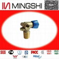 CYLINDER VALVES CNG FOR VEHICLES