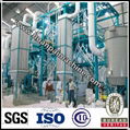 corn maize flour mill plant