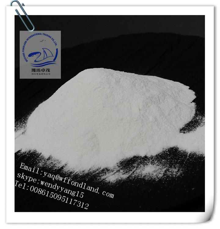 sodium bicarbonate 2