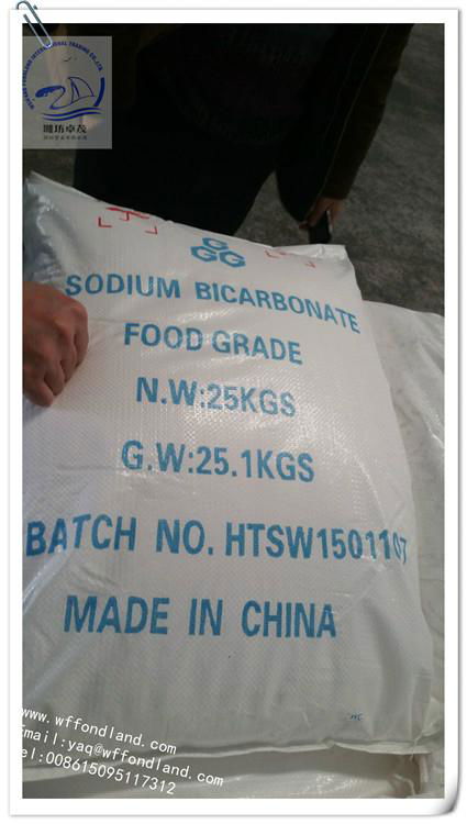sodium bicarbonate 3