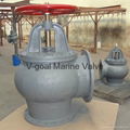 JIS Marine Cast Iron Check GlobeAngle Valve 5K 10K 16K 1