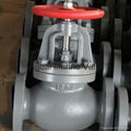 JIS Marine Cast Iron Check GlobeAngle Valve 5K 10K 16K 2