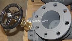 JIS Marine Cast Steel Globe Angle Storm Valve 5K 10K