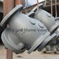 JIS Marine Cast Iron Swing Check Valve 5K 10K