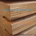 Keruing ( Apitong ) container plywood