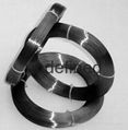 Molybdenum Wire