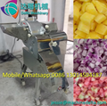 Root vegetable and fruit dicer for