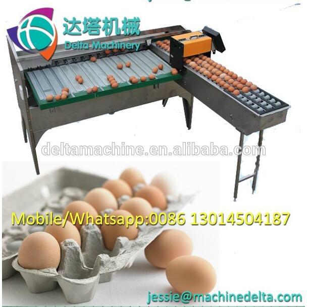 Egg sorting machine DLTDFJ4000 deltamachine (China Trading
