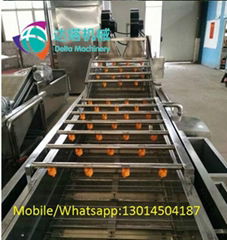 vegetable and fruit washing machine