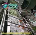 vegetable and fruit washing machine 3