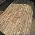 Acacia Finger Joint Board From Vietnam