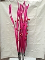 dry flowers 3