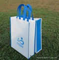 nonwoven shopping bag 1