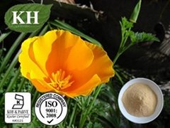 California Poppy Extract  Alkaloid  0.6% 