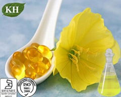 Evening Primrose Oil  Gamma Linolenic Acid 9%