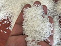 Indian rice 3