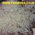 Swarna Rice ( short grain) 3